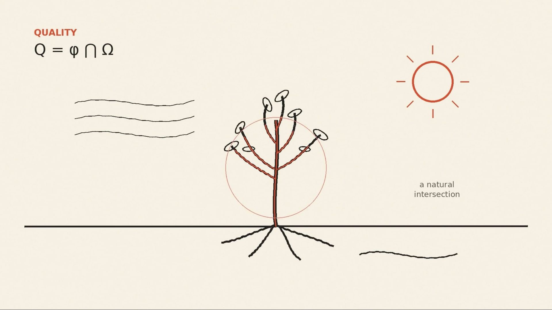 An image from the 5QLN animation: a tree meeting sun, wind and water